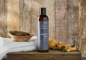 Shampoo White Tea