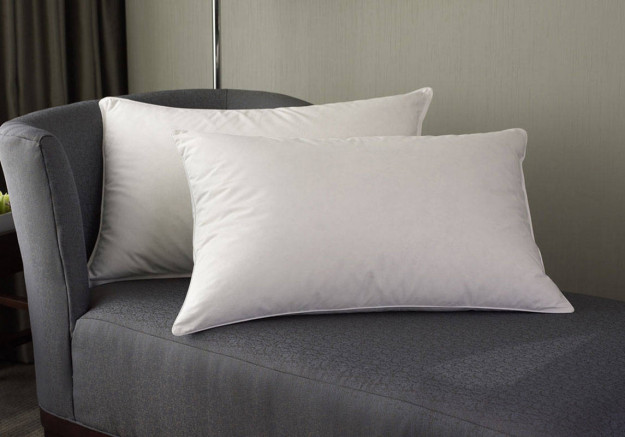 Almohada De Plumas Y Plumón